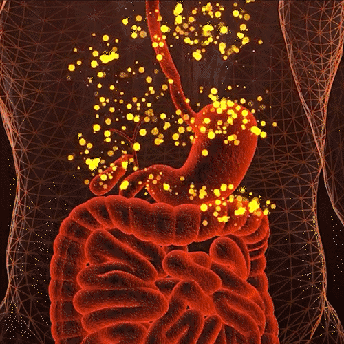 1718704217470153.gif 1.gif